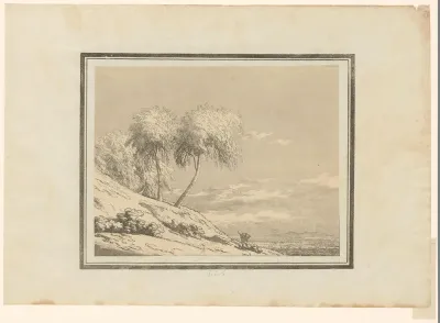 Birch