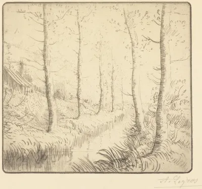 Birch Trees along the Water (Les bouleaux: Bord de l'eau)