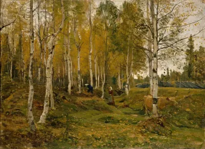 Birch Trees in Autumn
