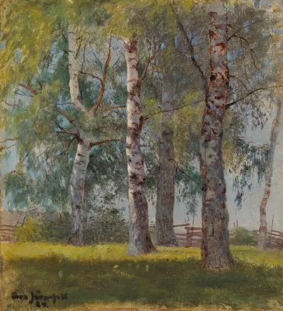 Birches