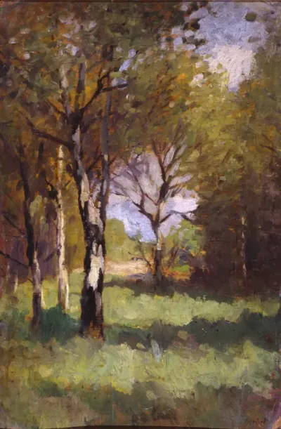 Birches