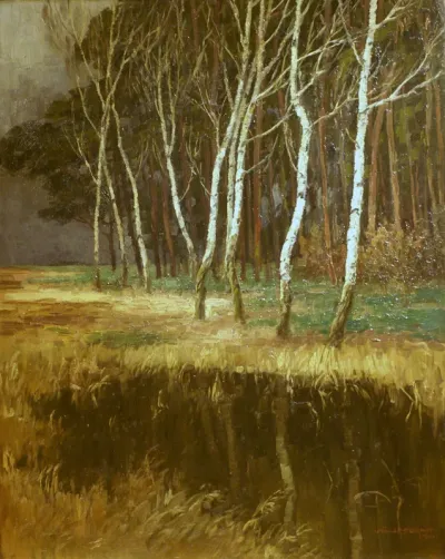 Birches at the forest border