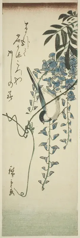 Bird and wisteria
