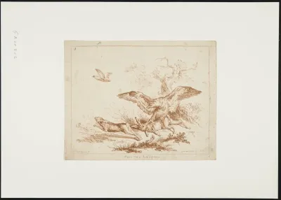 Bird of prey throws itself on two hares