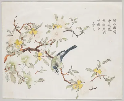 Bird on Pomegranate