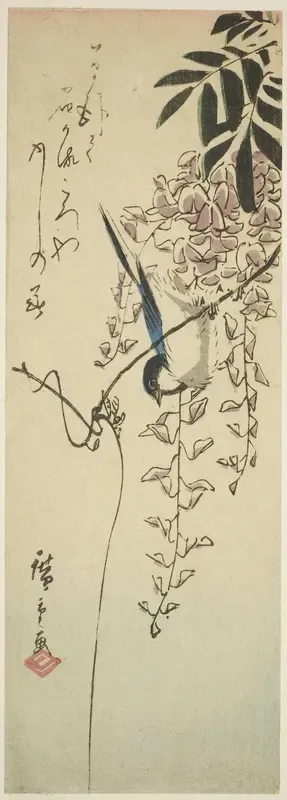 Bird on wisteria
