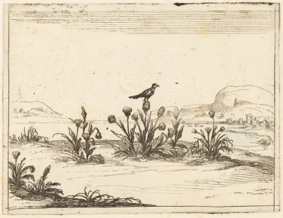 Bird Perched in a Thistle