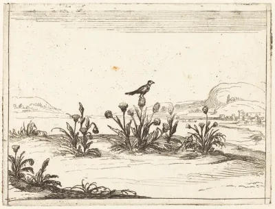 Bird Perched on a Thistle
