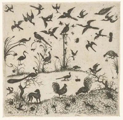 Birds