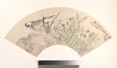 Birds and Narcissus