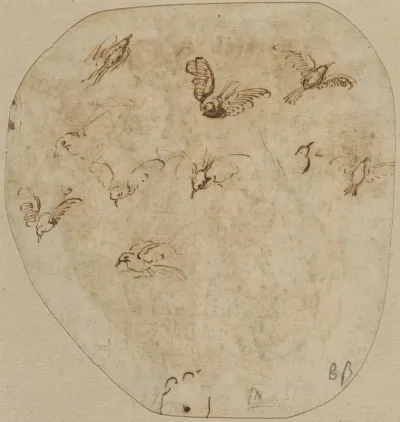 Birds in Flight [verso]