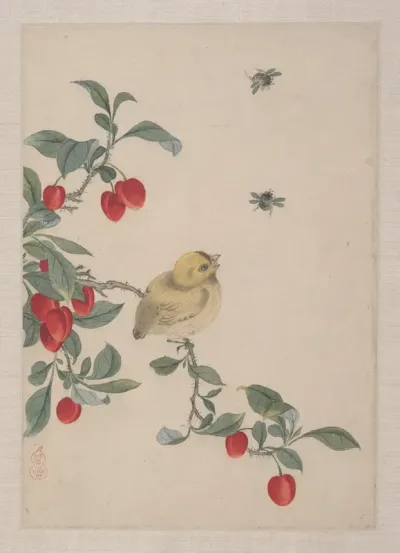 Birds, Insects and Flowers