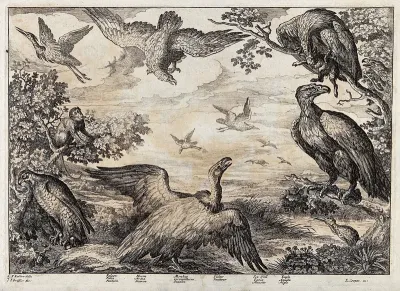 Birds of prey gathered by a lakeside: falcon, heron, monkey, vulture, sea gull and eagle