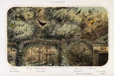 Birds of the garden shown in their natural surroundings
