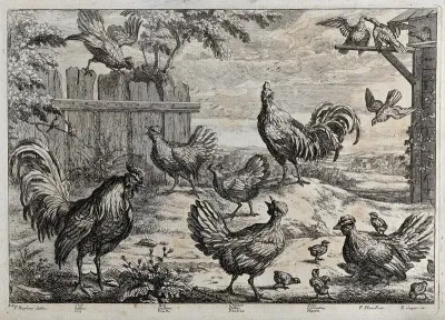 Birds on a farm: cockerels, hens, chicks and doves