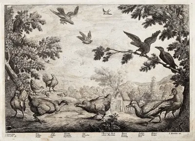 Birds on common land outside a village: hen, cock, hawk, jay, muscovy duck, raven, cuckoo and hoopoe