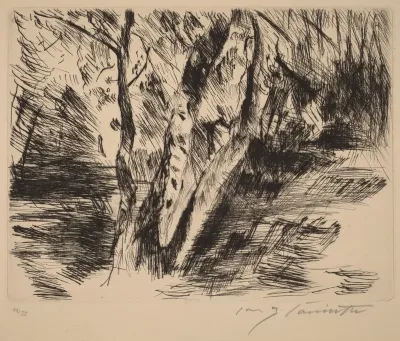 Birkenstämme im Tiergarten (Birch Trees in the Tiergarten)