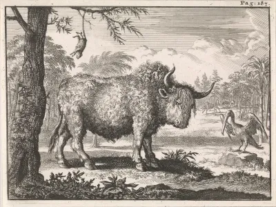 Bizon, opposum en een pelikaan in een exotisch landschap