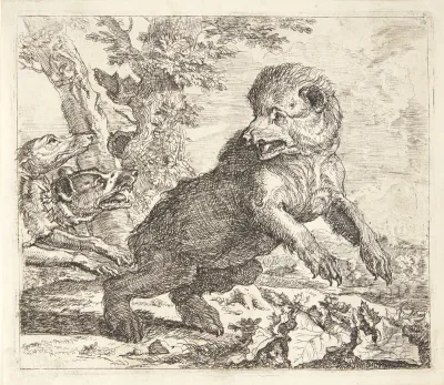 Bjørn jagtet af hunde