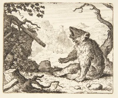 Bjørnen kalder Renard i retten