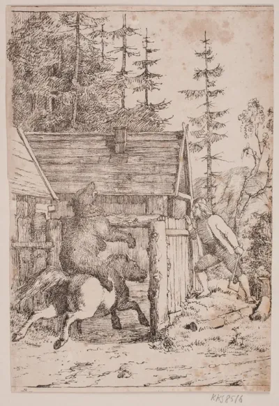 Bjørnen som rytter