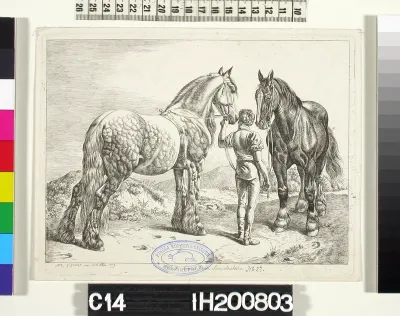 Blackhorses from Lincolnshire