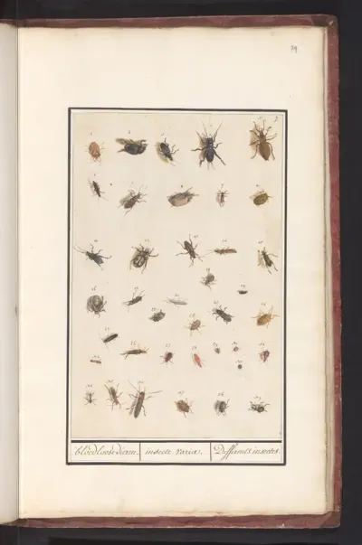 Blad met negenendertig insecten