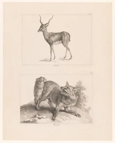 Blad met twee platen: gazelle en vos