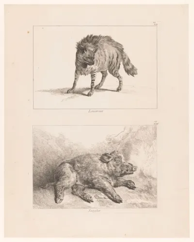 Blad met twee platen: lynx en everzwijn