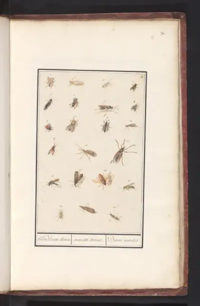 Blad met tweeëntwintig gevleugelde insecten