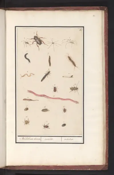 Blad met verschillende insecten en spinnen