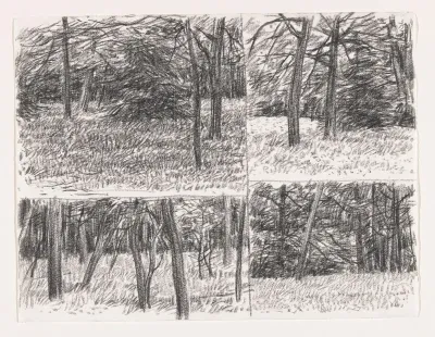 Blad met vier kaders waarin boslandschap
