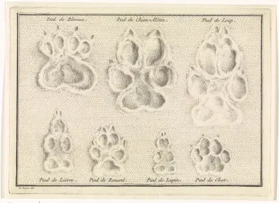 Blad met voetsporen van dieren