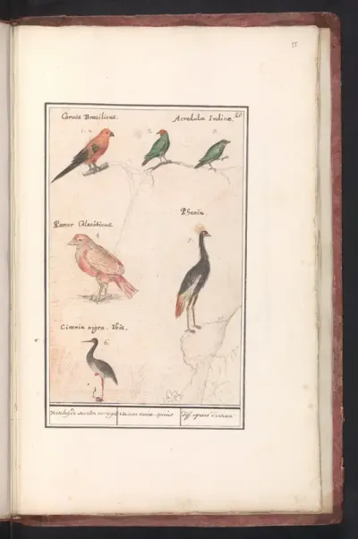 Blad met zes vogels