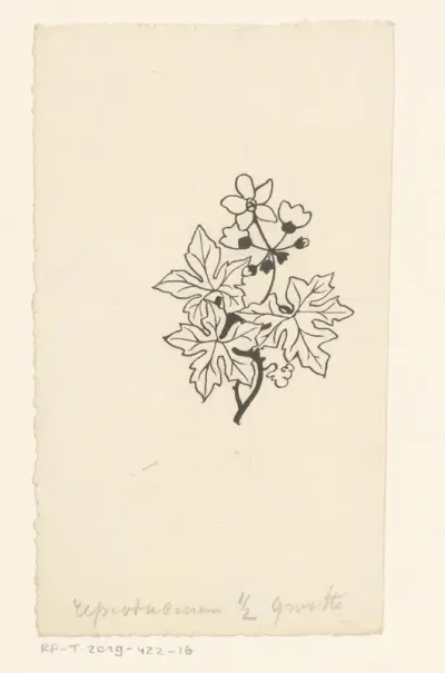 Bladeren en bloemen