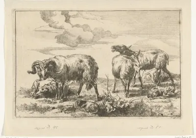 Blatend schaap tussen schapen en een ram