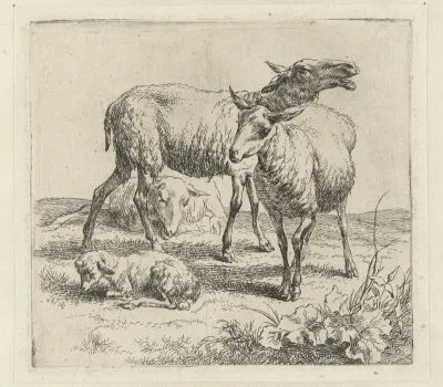 Blatend schaap tussen twee schapen en een lam