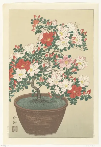 Bloeiende azalea in bruine pot