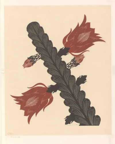 Bloeiende cactus (epiphyllum)