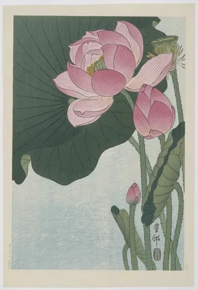 Bloeiende lotusbloemen