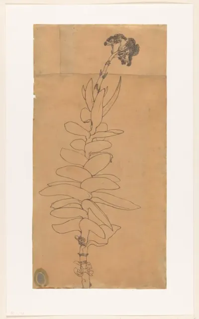 Bloeiende vetplant