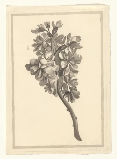 Bloem