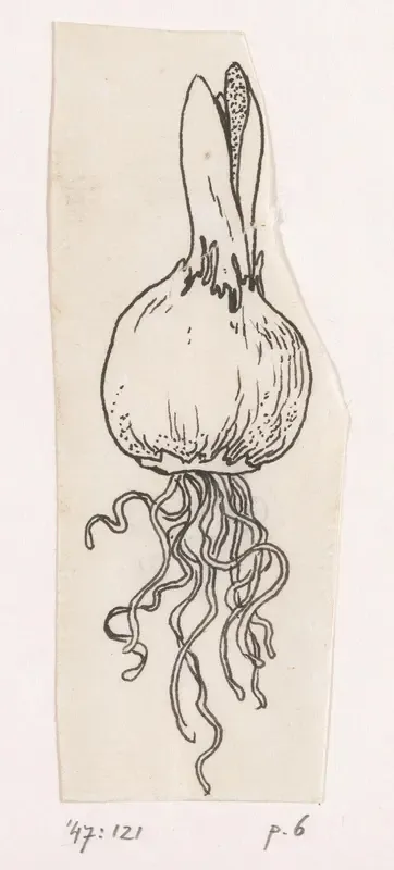 Bloembol
