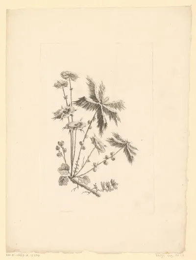 Bloemen