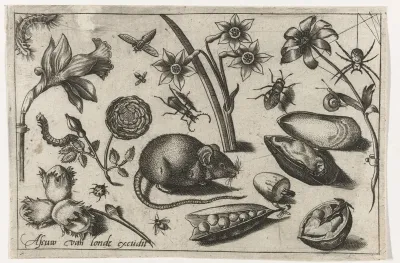 Bloemen, een muis, insecten en een mossel