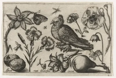 Bloemen, een peer en een duif
