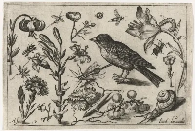 Bloemen, een slak en een vogel