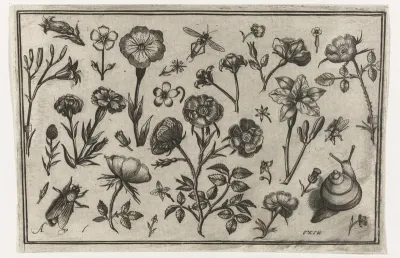 Bloemen, een vlieg en een slak