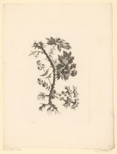 Bloemen en knoppen