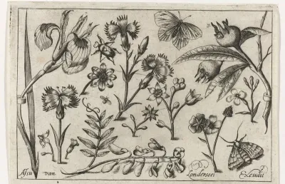 Bloemen en vlinders